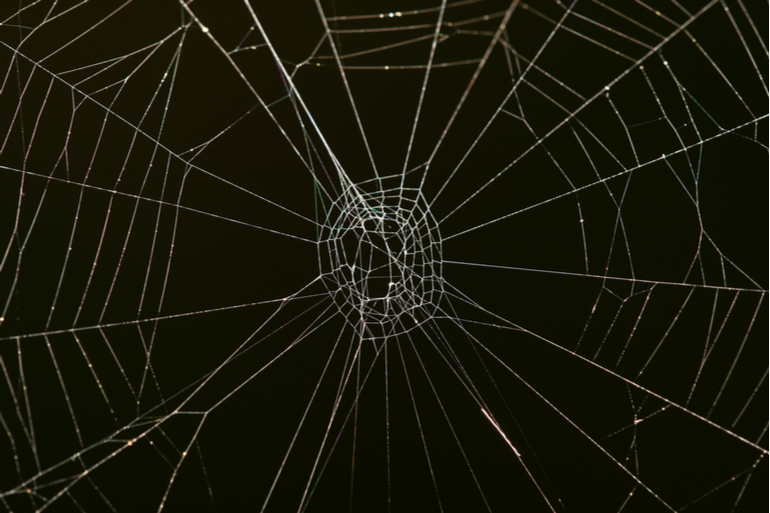 Etudes des caractéristiques des toiles de soie d'araignée autoportantes